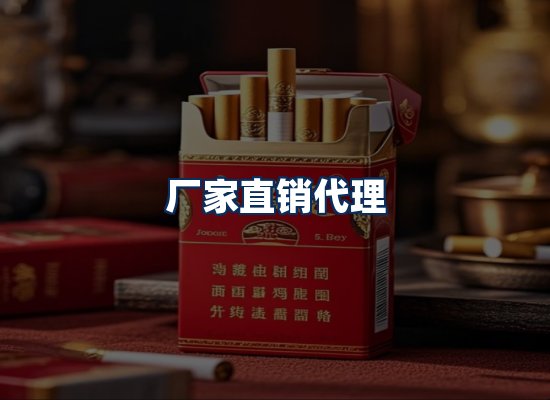 专业团队办公环境